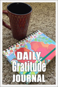 Daily gratitude has become a huge part of my life. It has allowed me to remain in a positive mindset throughout the day and see the positives in life.