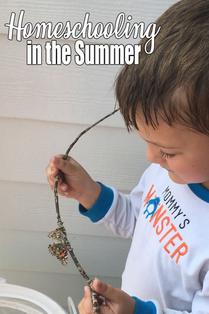 boy gently holds a stick.  on the stick is a painted lady butterfly.  The warm weather is here, public schools are out.  Are you homeschooling in the summer?  For us, learning never stops, the opportunities just change.