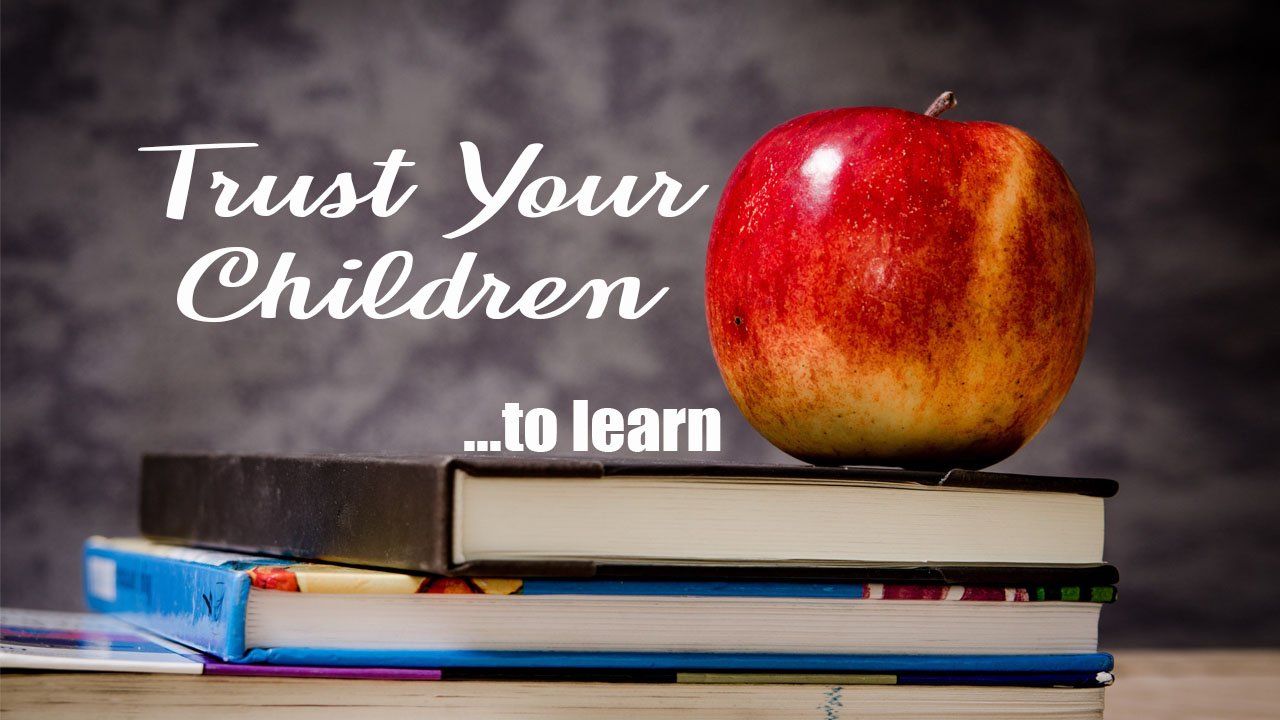 One of the hardest things, when joining the unschooling world, is learning to trust your children. How will they learn the fundamentals? Trust them.