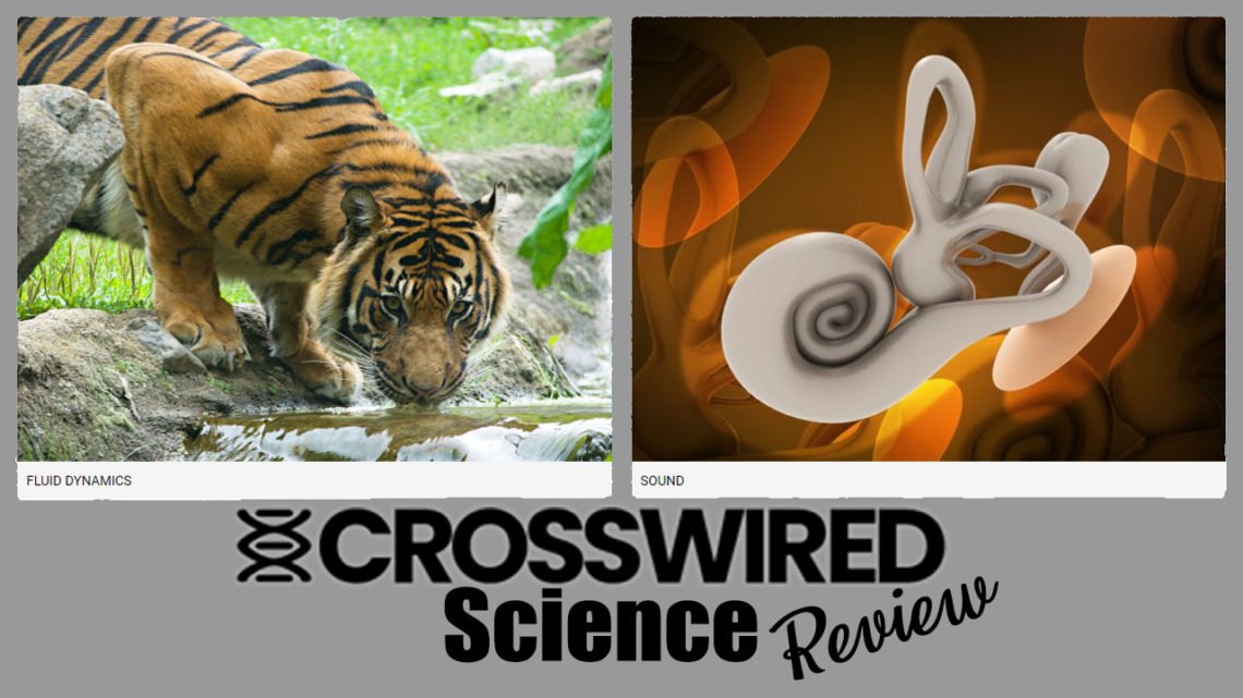 Do your children love hands on learning and science? Check out this review of CrossWired Science - a new program for the scientist in all of us.