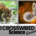 Do your children love hands on learning and science? Check out this review of CrossWired Science - a new program for the scientist in all of us.